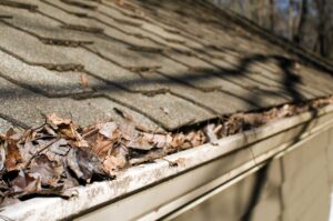 Clogged Gutters shorten lifespan in Camden DE