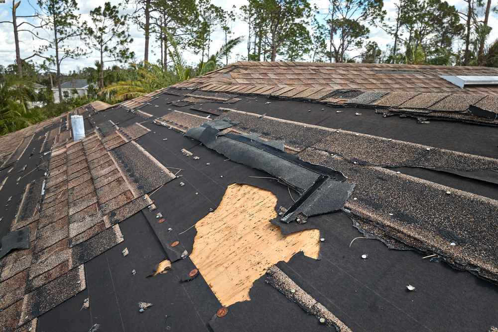 wind damage repair Dover