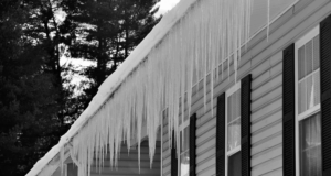 ice dams expert in Delaware