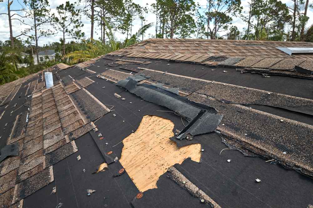 Trusted Storm Damage Roof Expert in Delaware