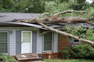 Trusted Storm Damage Roof Expert in Delaware