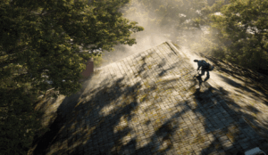 Trusted Roof Molds Expert in Delaware