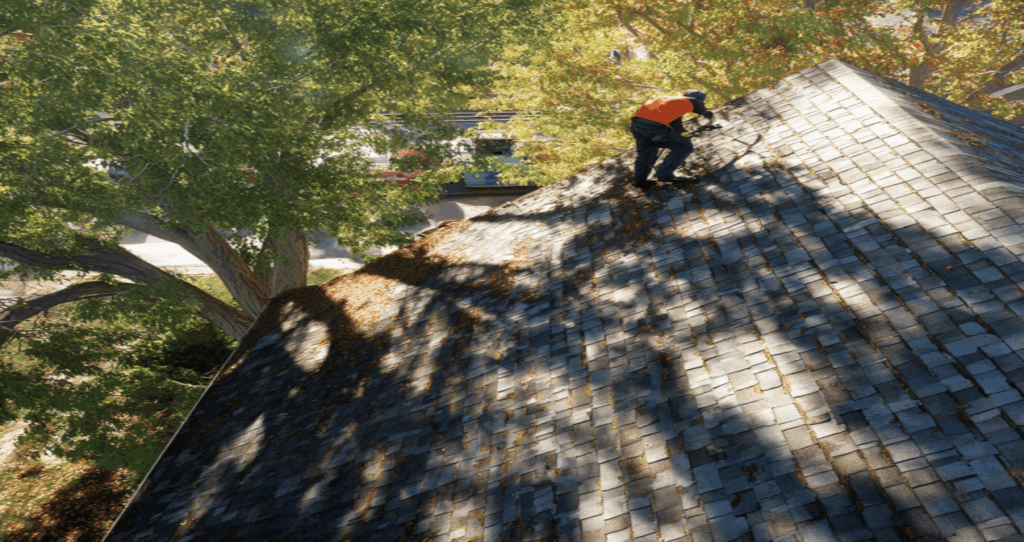 Trusted Roof Molds Expert in Delaware