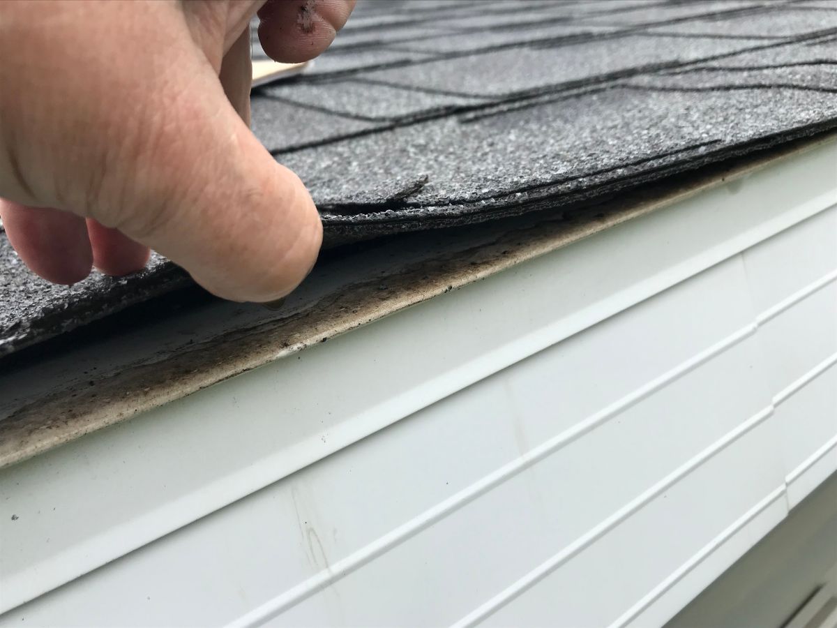 roof inspection checklist hand lifting shingles