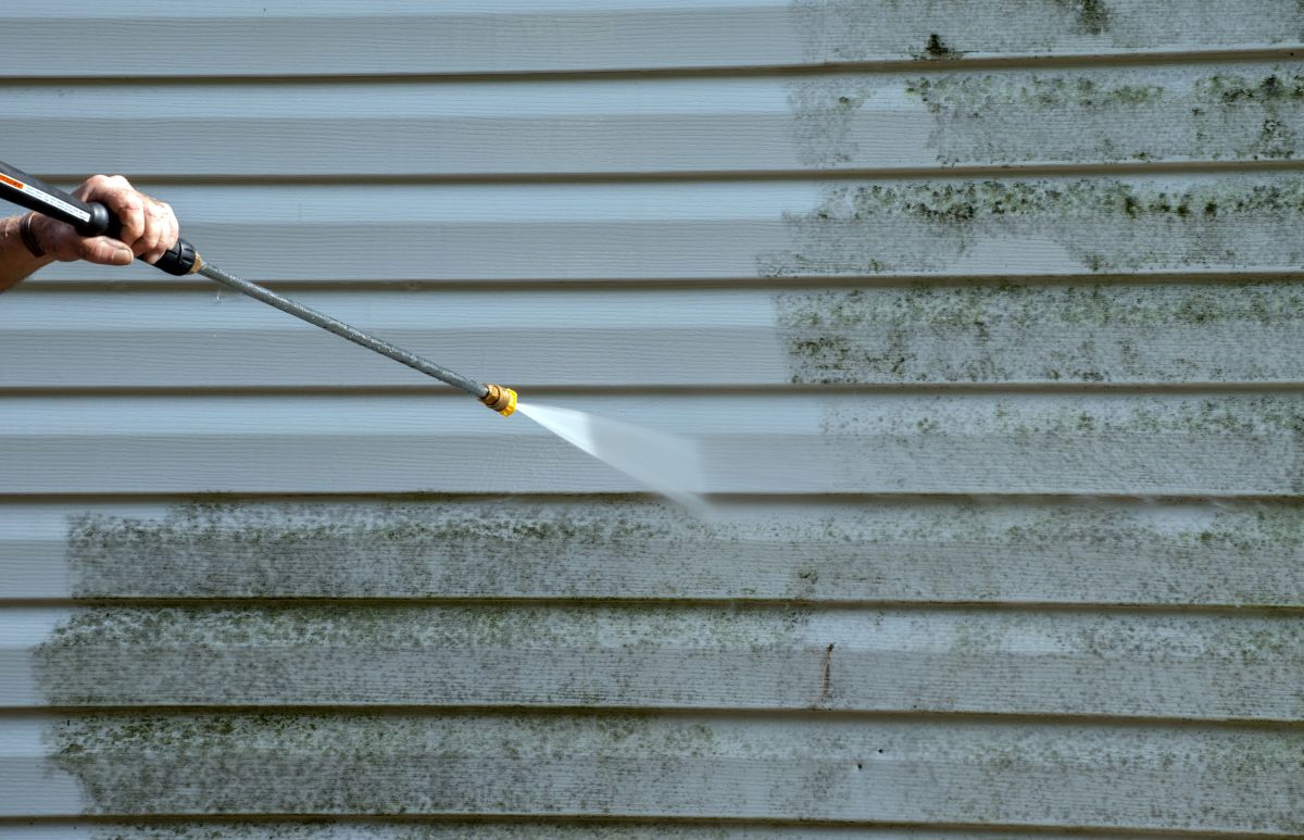 Cleaning the mold from the vinyl siding on this exterior wall is a job for the handyman or the professional