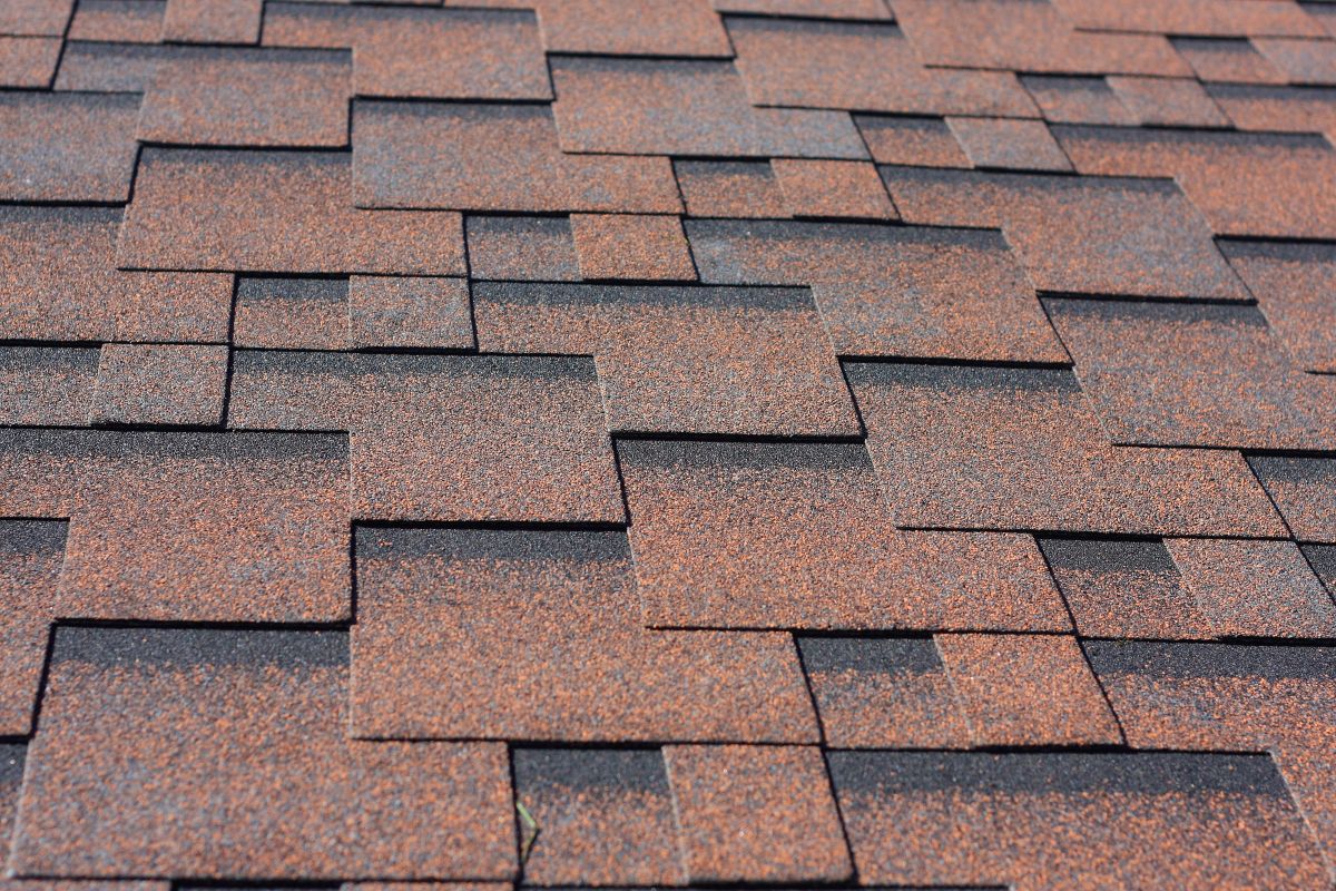 close-up of asphalt shingles